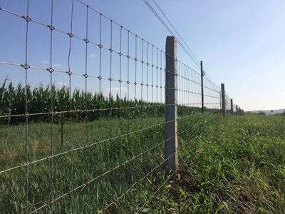 玛沁县草原网围栏